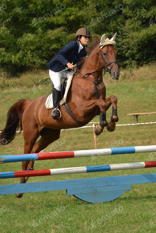 Preview: Horse Jumping