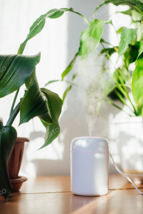 Preview: Flowers and humidifier