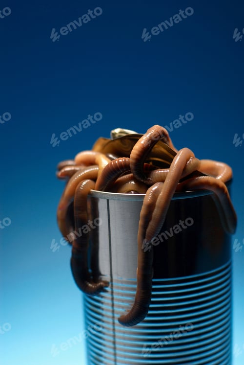 Preview: Can of worms