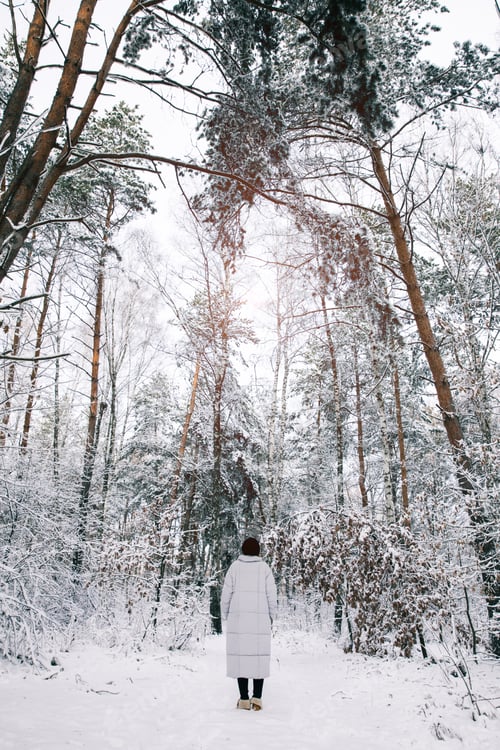 Preview: rear view of girl walking in snowy forest