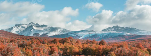 Preview: Autumn in Patagonia