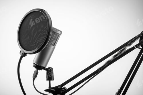 Preview: Condenser professional microphone with black pop filter on stand.