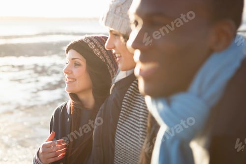 Preview: Friends enjoying a serene beach sunset together.