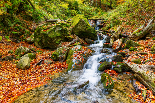 Preview: Mountain river with autumn leaves
