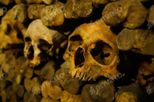 Preview: Scary spooky human skulls and bones stacked in the underground ossuary