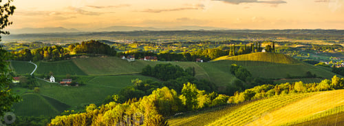 Preview: Sunset over South Styria vineyard landscape in Steiermark, Austria