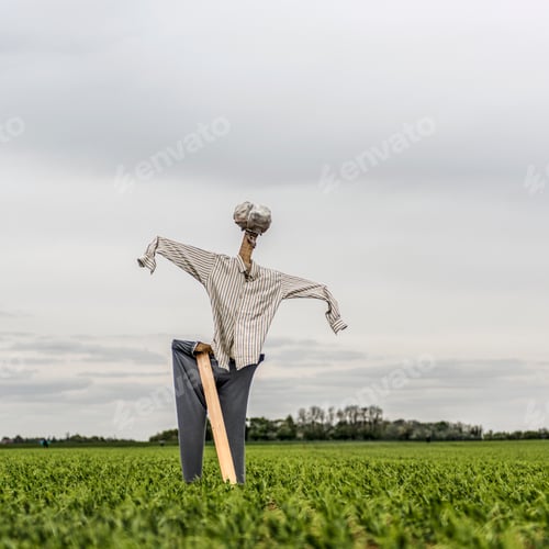 Preview: Scarecrow in a green field in a cloudy day