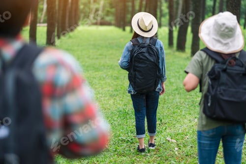 Preview: A group of travelers walking and looking into a beautiful pine woods