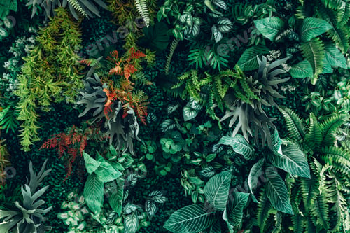 Preview: Group of background tropical green leaves texture. Natural green wallpaper and background.