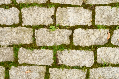 Preview: background of the old bricks, sprouting moss and grass