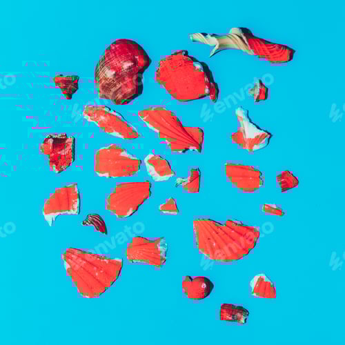 Preview: Broken shell. Minimal art design