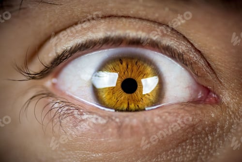 Preview: Closeup shot of a light brown and yellow eye