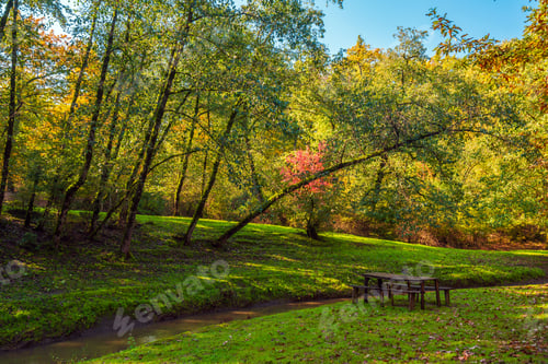 Preview: Wooden table and benches in the forest near the river