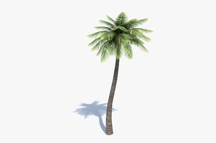 Preview: Stylized Palm Tree with Tropical Foliage