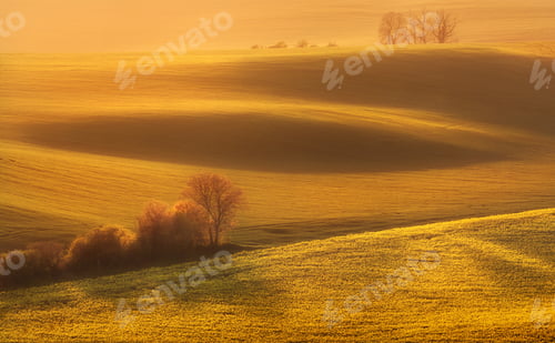 Preview: Landscape with green fields, trees, and flowers at colorful suns