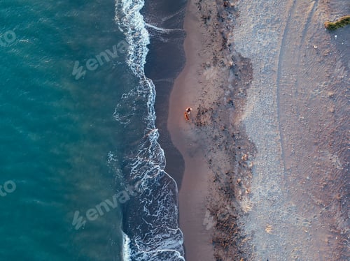 Preview: Girl and dog at the beach at sunset, Aerial Views