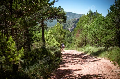 Preview: Teenage boy walking a path in the middle of the mountains with his dog.