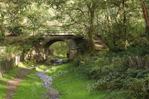 Preview: green, tree, path, nature, travel, landscape, road, woods, forest, foliage, outdoor, summer, beautif