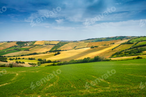 Preview: Rural landscape along the road from Fano to Mondavio, Marche