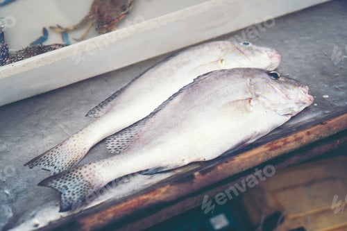 Preview: seafood in market