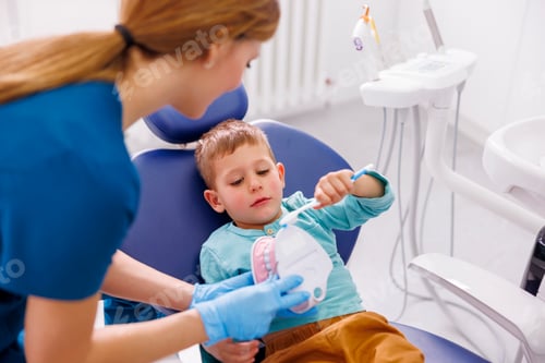Preview: Female dentist demonstrating proper tooth brushing technique to child patient