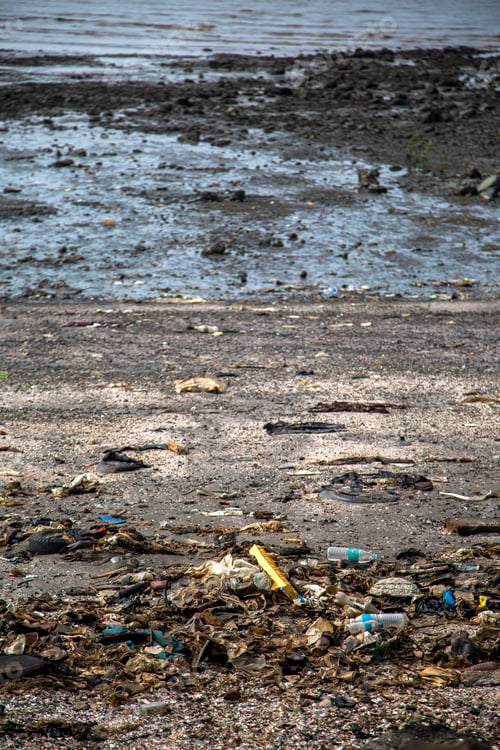 Preview: Elephanta Island, Mumbai, India