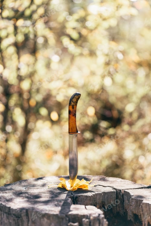 Preview: Knife stabbed in the yellow leaves and old stump