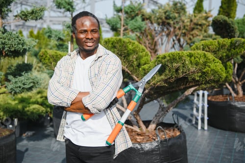 Preview: A african american young gardener cuts a tree with scissors. Gardening and tree shop concept