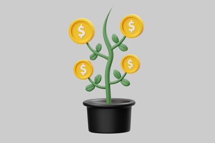 Preview: Money plant in pot