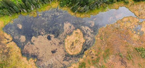 Preview: Aerial panoramic view of colorful pond in the marshlands during a summer day