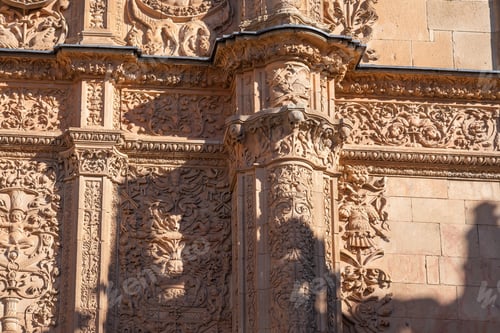 Preview: Details of Old University of Salamanca Plateresque Facade with Frog and Skull - Salamanca, Spain