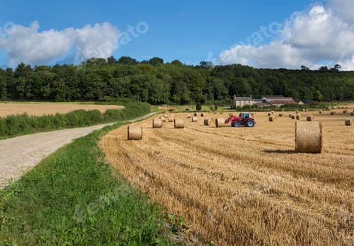 Preview: Harvest Time - North Yorkshire - England