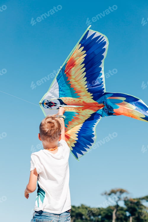Preview: boy learning to fly a colorful kite