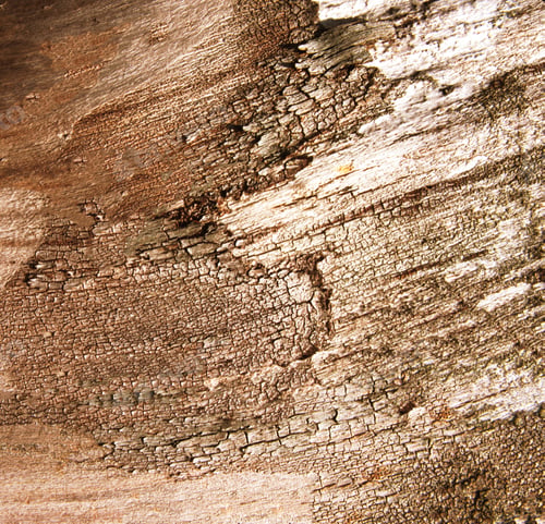 Preview: Brown Wood Background