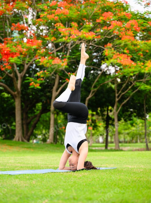 Preview: Healthy young woman enjoying and relaxing yoga outdoor in green park