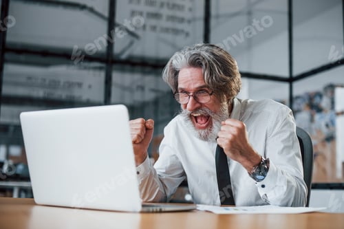 Preview: Expressive mature businessman with grey hair and beard in formal clothes is in the office