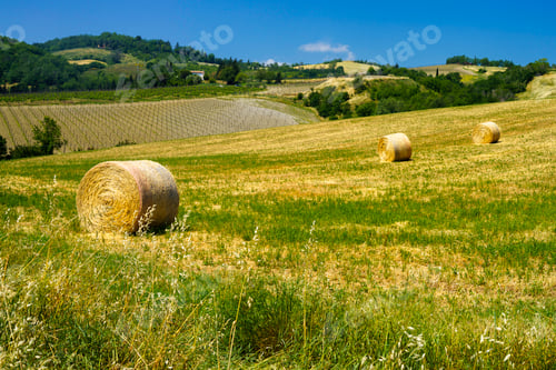 Preview: Country landscape near Castrocaro and Predappio, Emilia-Romagna
