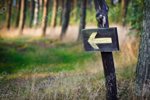 Preview: Yellow sign in the forest