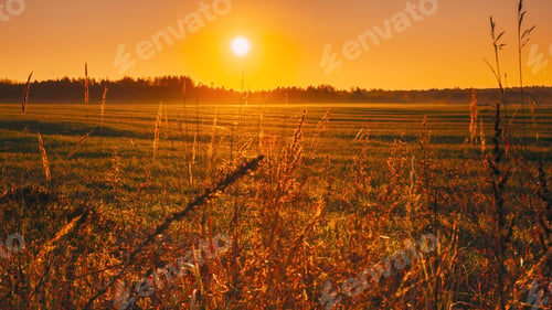 Preview: 4K Beautiful autumn field landscape . Sun Shining During Sunny Sunset Evening. 4K Calm Country