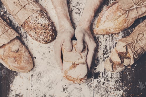 Preview: Bakery concept background. Hands hold bread loaf