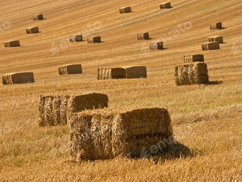 Preview: Straw bales background