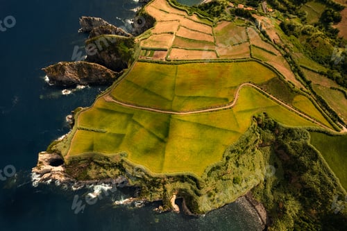 Preview: Green island with rocky coast
