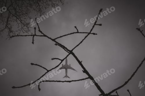 Preview: Bushes and airplane flying in cloudy sky