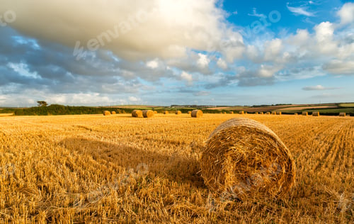 Preview: Hay Bales