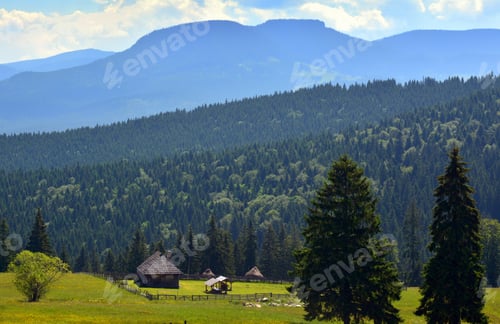Preview: Beautiful shot of houses in a mountain landscape covered with trees in Calimani, Romania