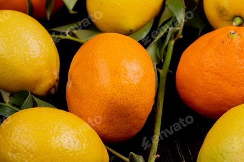 Preview: close-up view of citrus fruits as tangerines and lemons on black background decorated with leaves