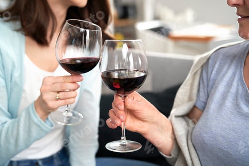 Preview: Close up of two women on celebratory toast at home