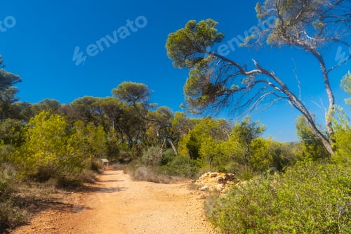 Preview: Exploring the natural beauty of cala mondrago natural park in mallorca