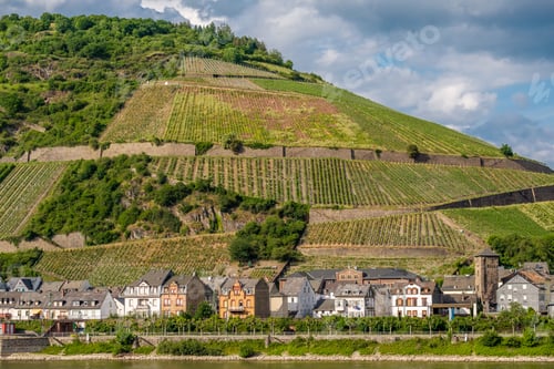 Preview: Vineyards at Rhine Valley in Germany