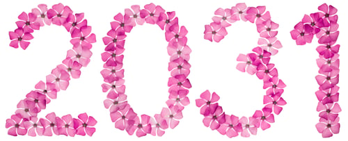 Preview: Inscription 2031, from natural pink flowers of periwinkle, isolated on white background
